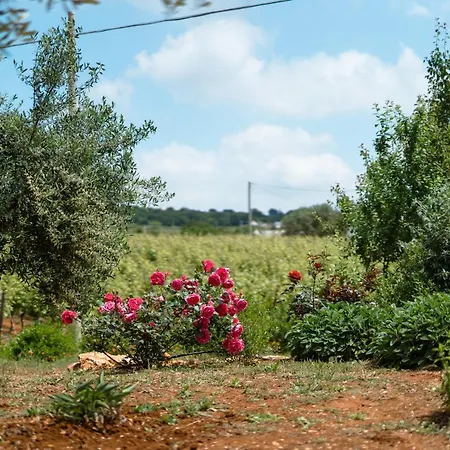 Holiday home Trulli Audendum *