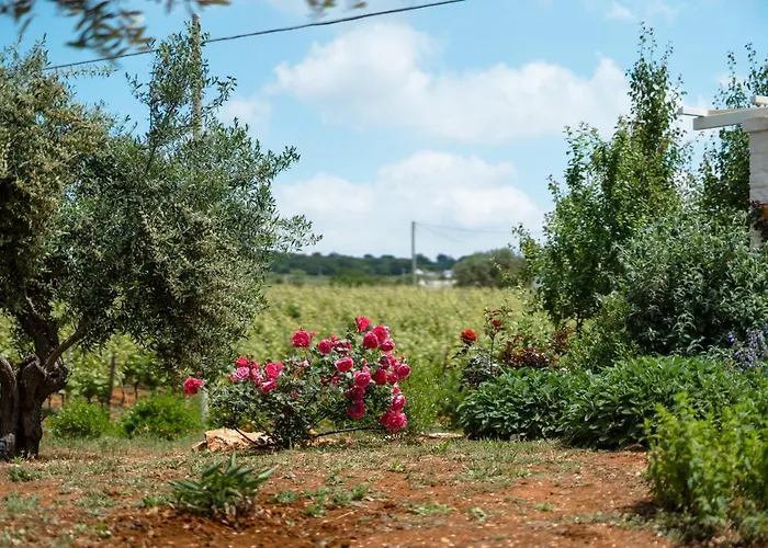 Hébergement de vacances Trulli Audendum *